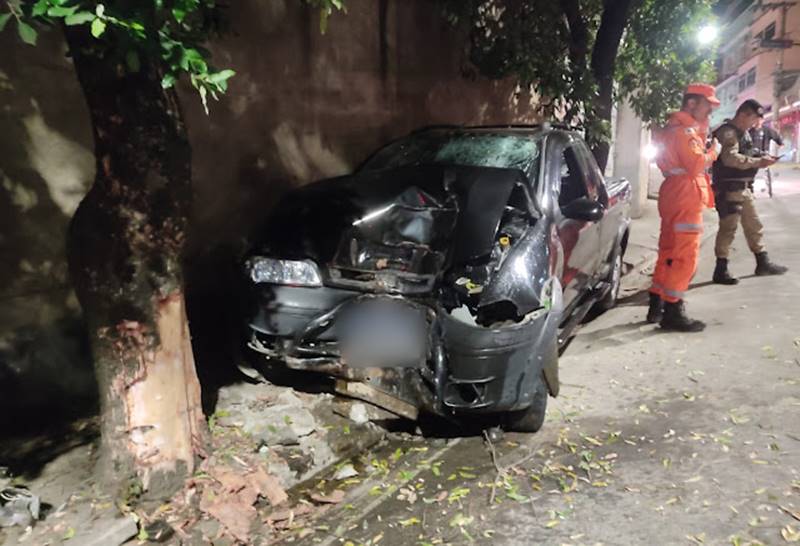 Motorista morre após caminhonete bater contra árvore em Além Paraíba