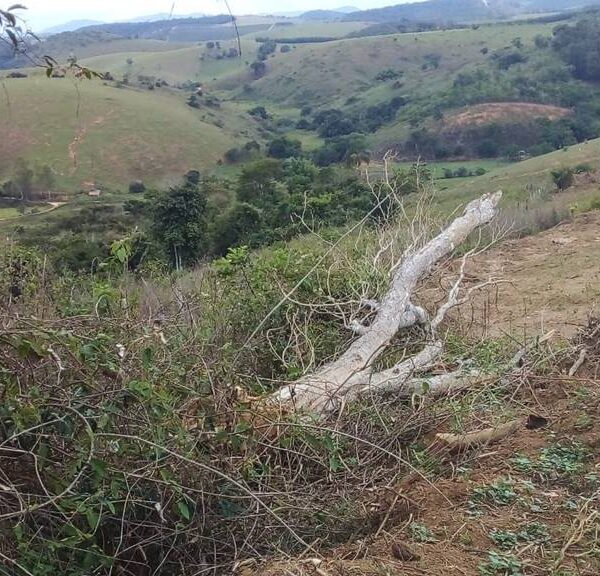 ONG de Pirapetinga alerta sobre ações danosas ao meio ambiente para construção de Aterro Sanitário no município