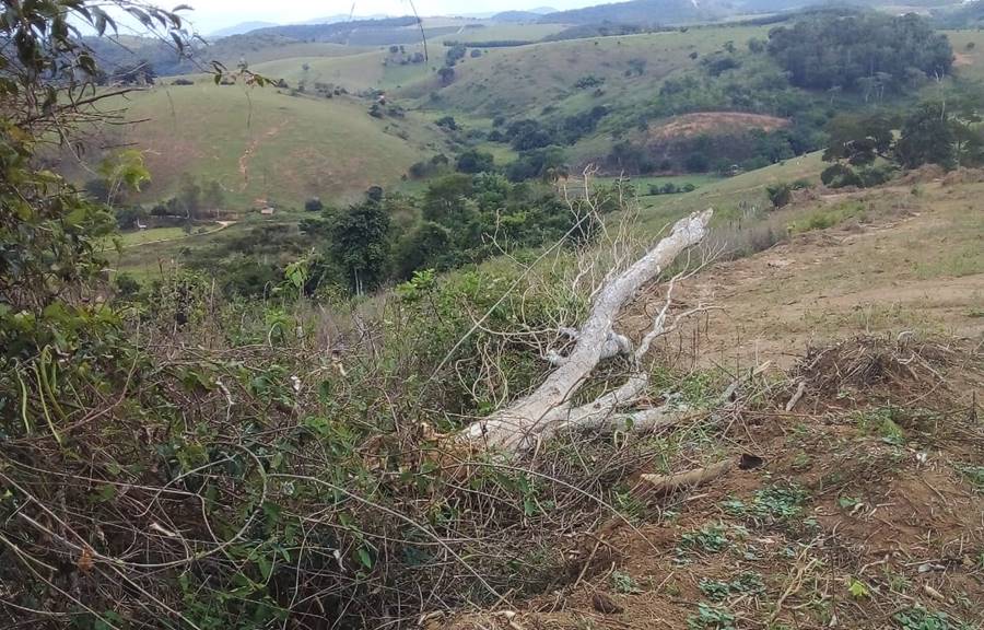 ONG de Pirapetinga alerta sobre ações danosas ao meio ambiente para construção de Aterro Sanitário no município