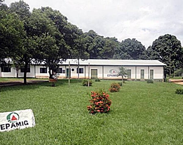 Epamig promove 6º Encontro Tecnológico em Leopoldina nesta quinta-feira