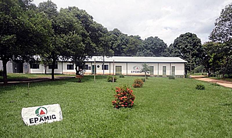 Epamig promove 6º Encontro Tecnológico em Leopoldina nesta quinta-feira