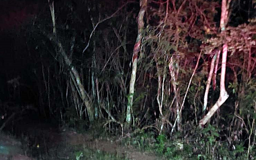 Ossada humana é encontrada na zona rural de Rio Novo