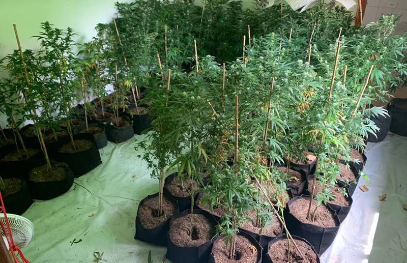 Servidor Público é preso em Cataguases durante operação do GAECO