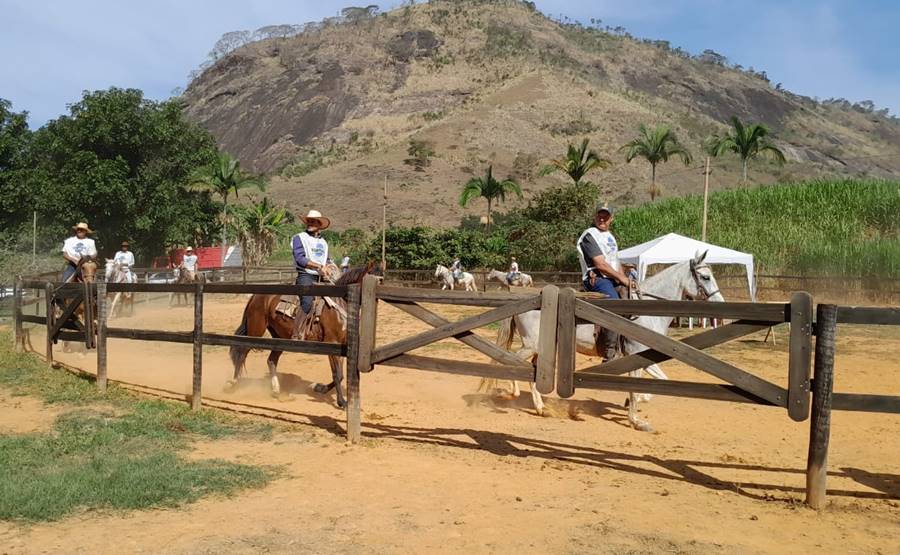 Tebas sedia 1º Poeirão do Cavalo Mangalarga Marchador