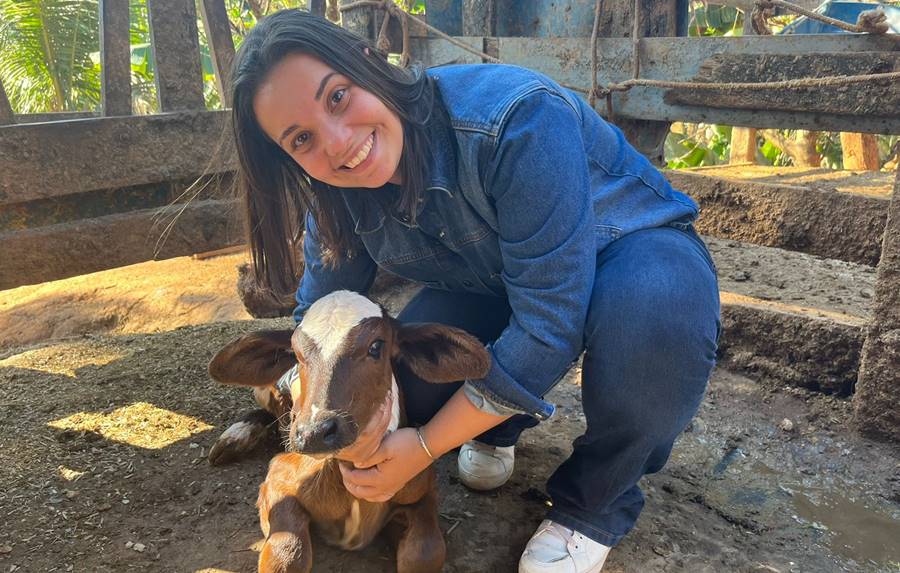 Pecuária leiteira de Leopoldina comemora nascimento da primeira bezerra através de melhoramento genético