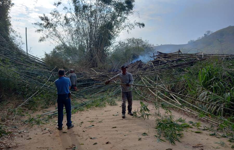 Bambuzal pega fogo e interdita estrada das Palmeiras em Leopoldina