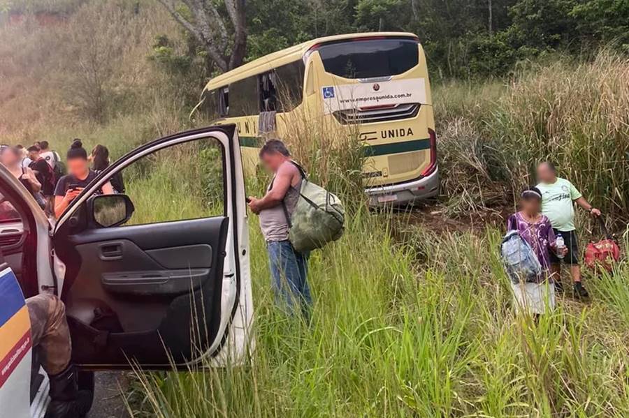 Motorista desmaia e ônibus que seguia de JF para Ponte Nova bate em árvore na MGC-120