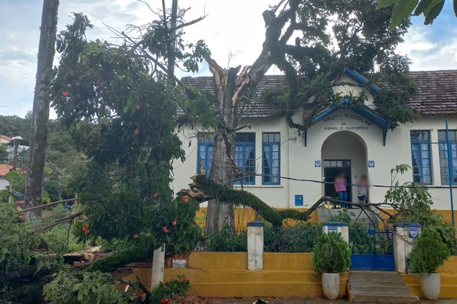 Árvore cai em escola estadual após vendaval em Piacatuba; não há feridos
