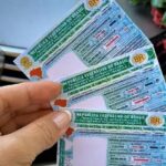 CNH Popular: veja passo a passo para se cadastrar no programa em Leopoldina