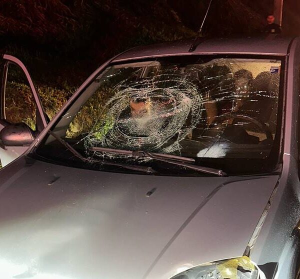 Ocupantes que empurravam moto na BR-116 em Leopoldina ficam feridos