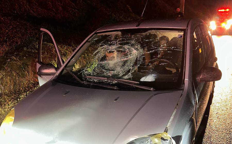 Ocupantes que empurravam moto na BR-116 em Leopoldina ficam feridos