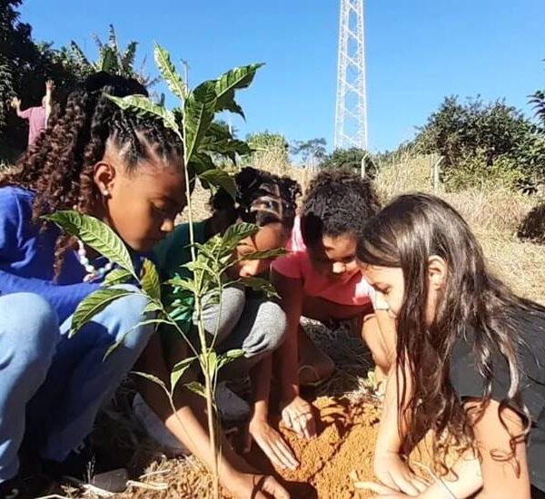 Alunos realizam plantio de mudas de árvores na zona rural de Leopoldina
