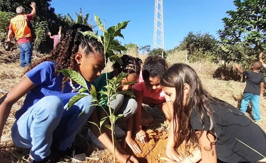 Alunos realizam plantio de mudas de árvores na zona rural de Leopoldina