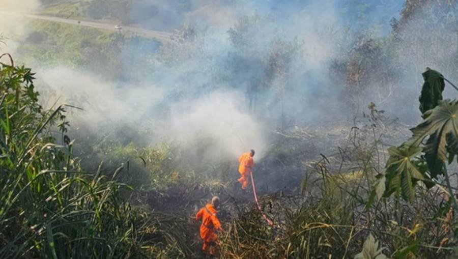 Bombeiros alertam para aumento do número de incêndios em vegetação em Leopoldina