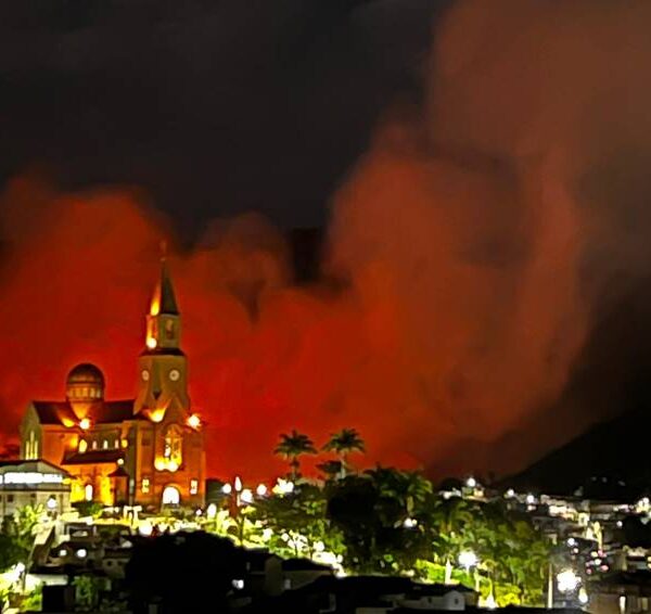 Queimada às margens da Avenida Jehu Faria mobiliza Corpo de Bombeiros em Leopoldina