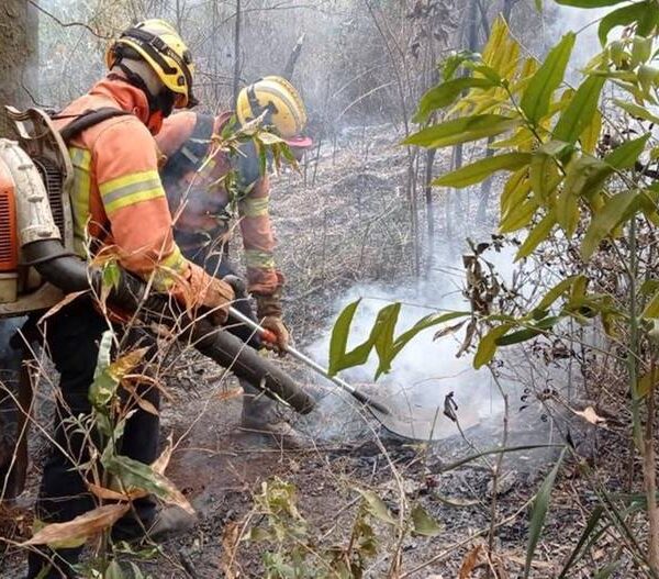 Incêndios em vegetação aumentam 114% no mês de maio em Minas