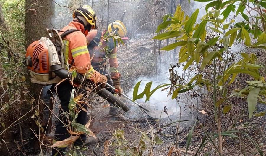 Incêndios em vegetação aumentam 114% no mês de maio em Minas