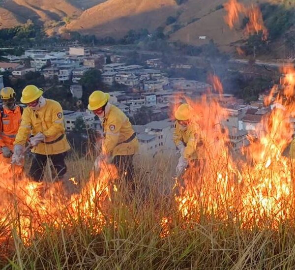 Bombeiros Militares capacitam brigadistas em Fervedouro e Miradouro