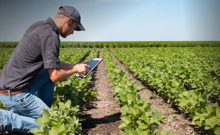 CEFET-MG em Leopoldina promove audiência pública para implantação do curso superior em Tecnologia em Agropecuária