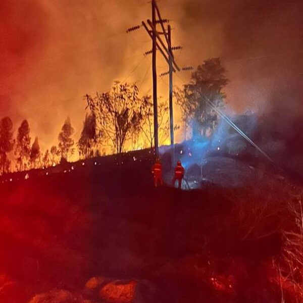 Incêndio em vegetação no distrito de Piacatuba em Leopoldina mobiliza Corpo de Bombeiros