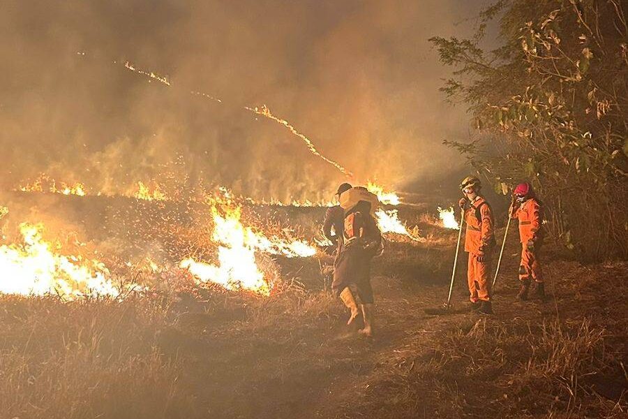 7° Pelotão de Bombeiros Militar de Leopoldina faz alerta sobre ocorrências de incêndio em vegetação