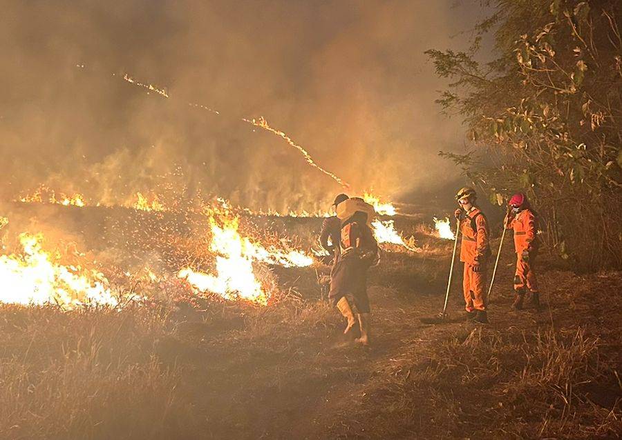 7° Pelotão de Bombeiros Militar de Leopoldina faz alerta sobre ocorrências de incêndio em vegetação