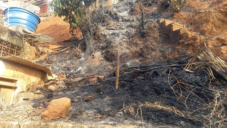 Homem é preso suspeito de atear fogo que se alastrou por vários quintais em Astolfo Dutra
