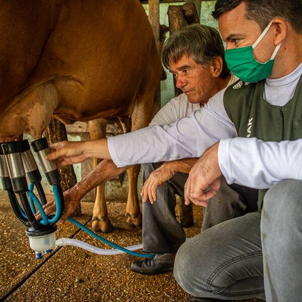 Sistema Faemg Senar oferece cursos gratuitos na região