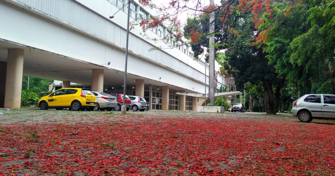 IF Sudeste MG lança editais de seleção de novos estudantes para 2025