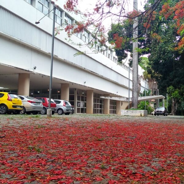 IF Sudeste MG lança editais de seleção de novos estudantes para 2025