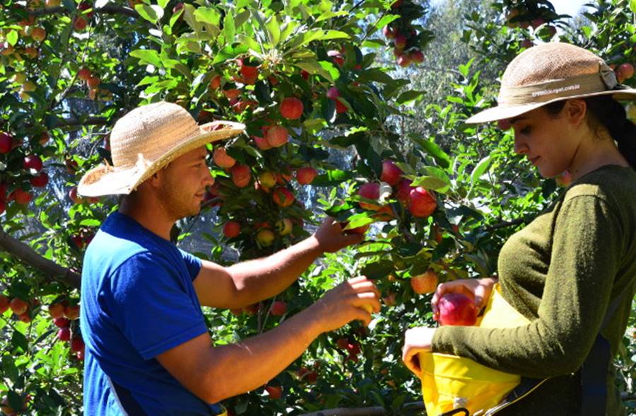 Emater-MG promove Circuito Frutifica Minas em Cataguases