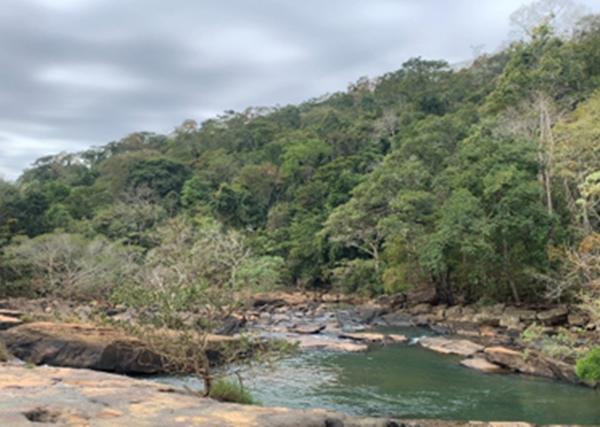 Energisa vai restaurar Reserva Usina Maurício e ouve comunidade
