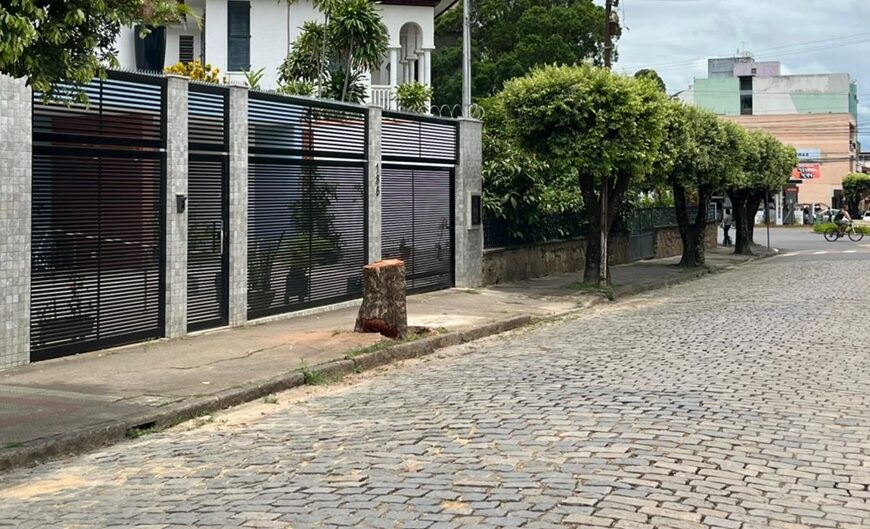 Retirada de árvore em perfeito estado gera reclamação de moradores em Leopoldina