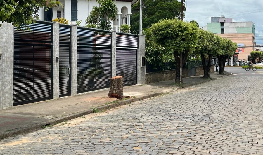 Retirada de árvore em perfeito estado gera reclamação de moradores em Leopoldina