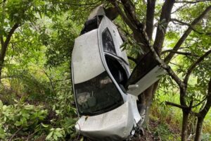 Carro capota em serra e cai em cima de árvore na BR-356 em Muriaé