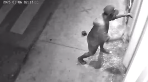 Bandidos quebram vidro de loja e furtam equipamentos em Leopoldina