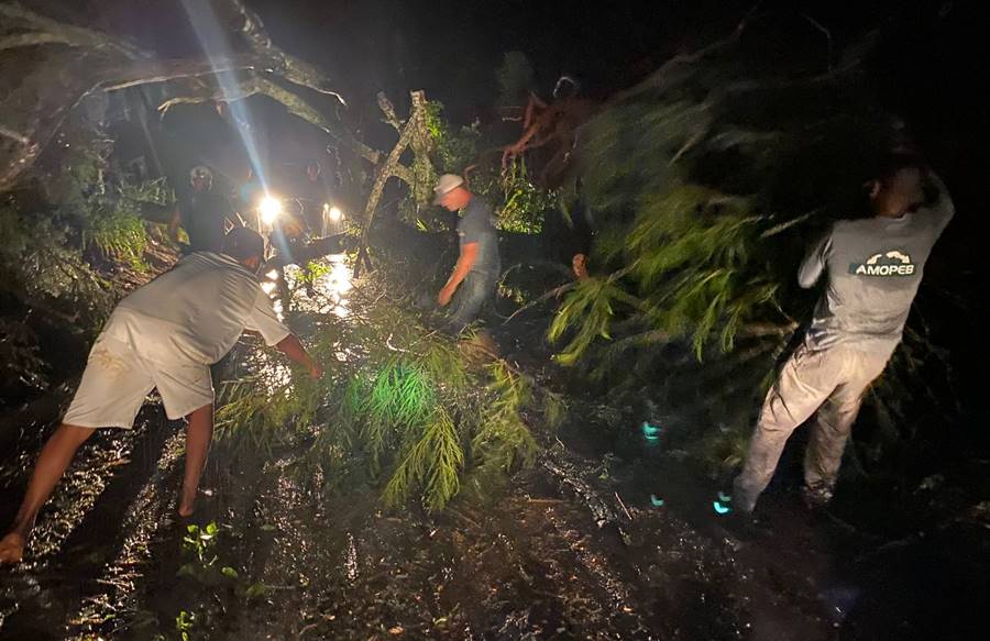Defesa Civil retira barreiras e árvores que caíram sobre estrada após forte chuva em Leopoldina