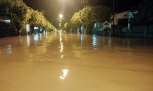 AMERP e Prefeitura de Muriaé prestam apoio a Recreio após chuva causar estragos no município