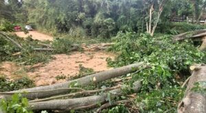 Forte chuva volta a atingir povoado de São Martinho em Leopoldina