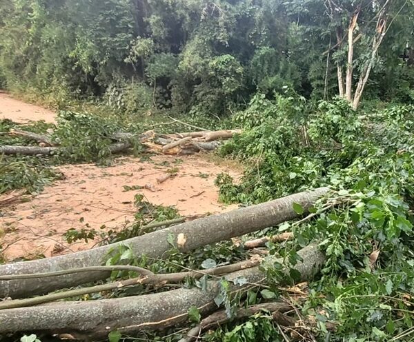Forte chuva volta a atingir povoado de São Martinho em Leopoldina