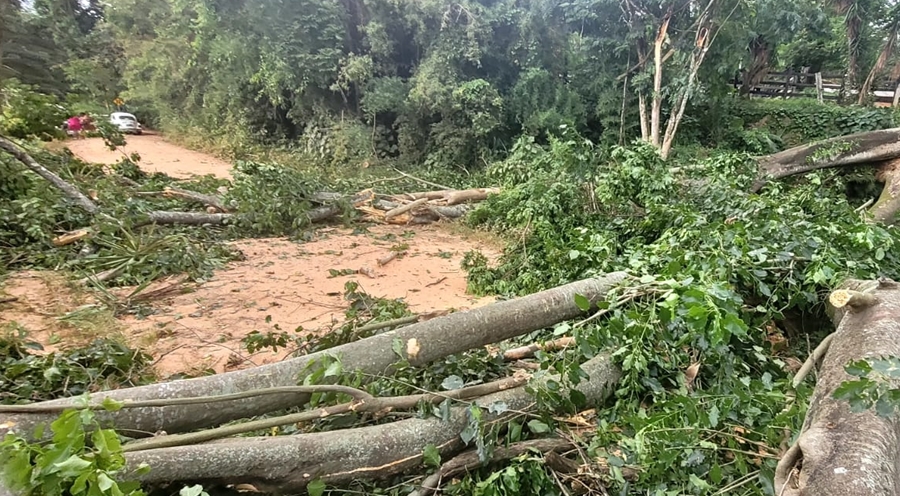 Forte chuva volta a atingir povoado de São Martinho em Leopoldina
