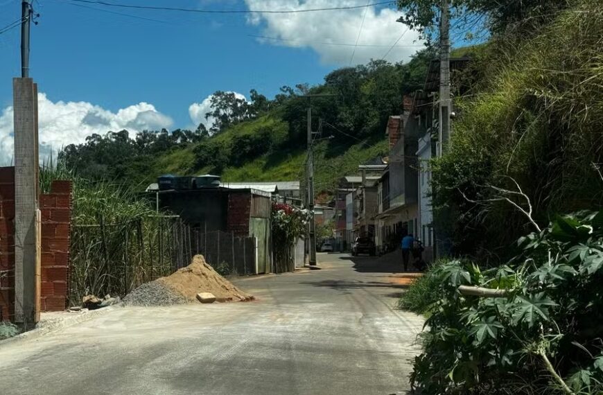 Criança de 5 anos morre atropelada após desembarcar de ônibus escolar em Guiricema