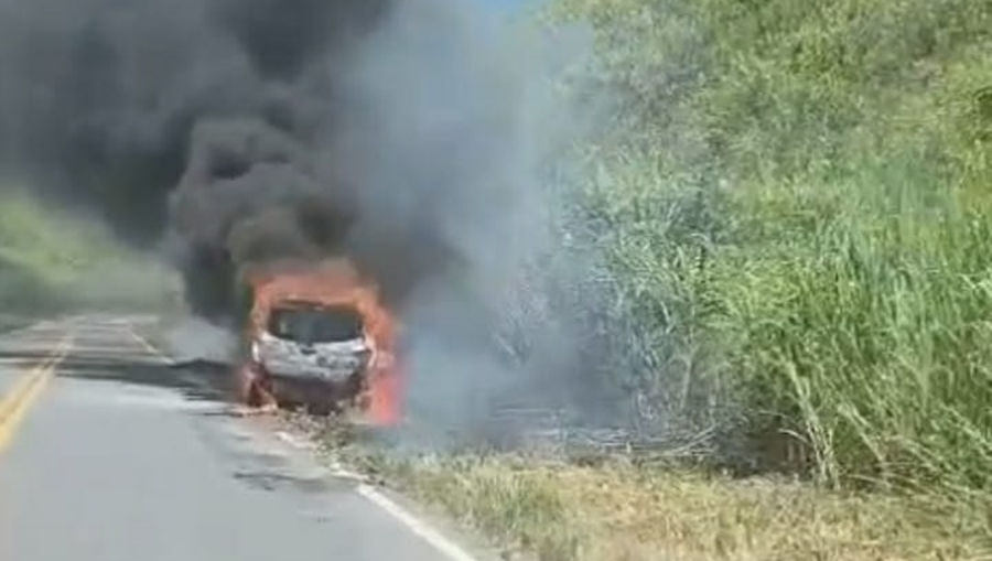 Bebê e outros três ocupantes saem ilesos após automóvel pegar fogo na BR-267 em Argirita