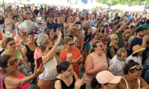 Atrações de pré-carnaval reúnem samba, desfile e animação no Centro de Leopoldina