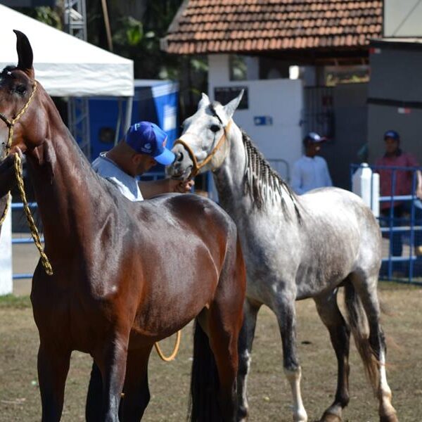 Leopoldina sedia I Exposição Especializada da Zona da Mata Mineira de 07 a 11 de outubro