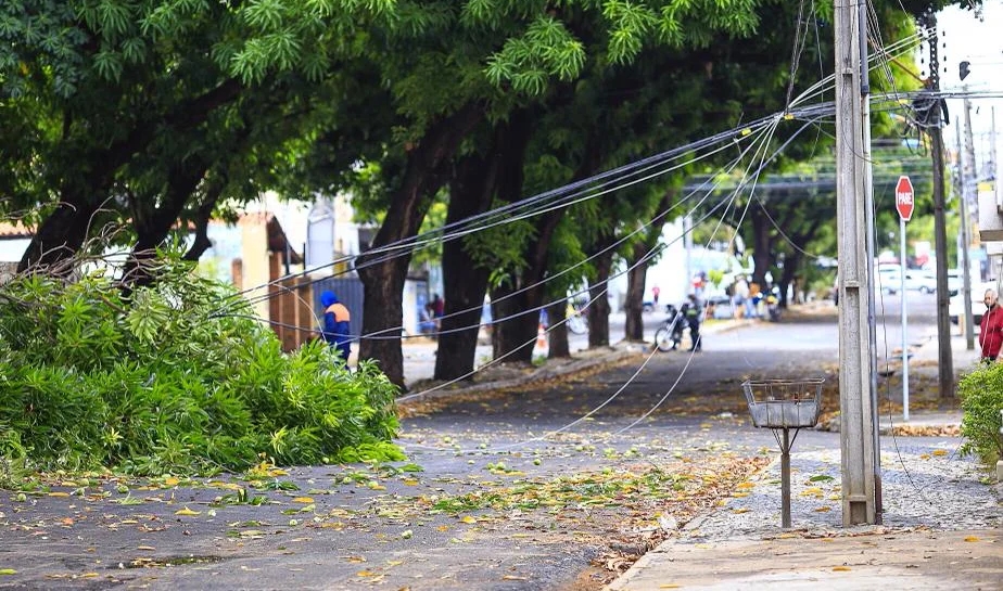 Mais de 140 mil clientes ficaram sem energia por árvores na rede elétrica em 2025