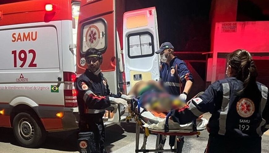 Idoso fica gravemente ferido após charrete capotar na MGC-265 entre Muriaé e Miraí