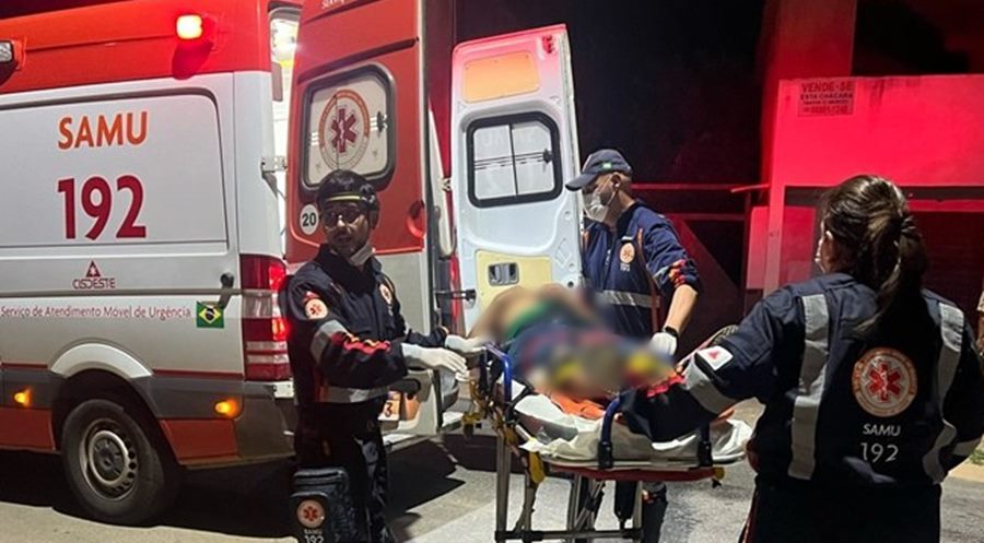 Idoso fica gravemente ferido após charrete capotar na MGC-265 entre Muriaé e Miraí