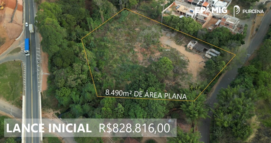 Oportunidade Imperdível: EPAMIG leiloa terreno de aproximadamente 8.490 m² em Leopoldina