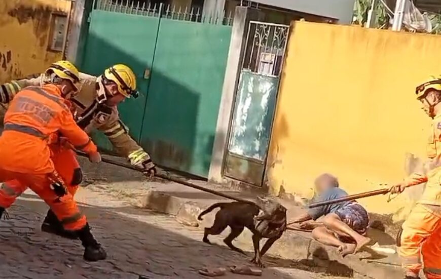 Cão ataca idosa em rua do Bandeirantes em Leopoldina